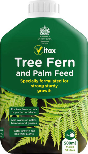 Palm Feed